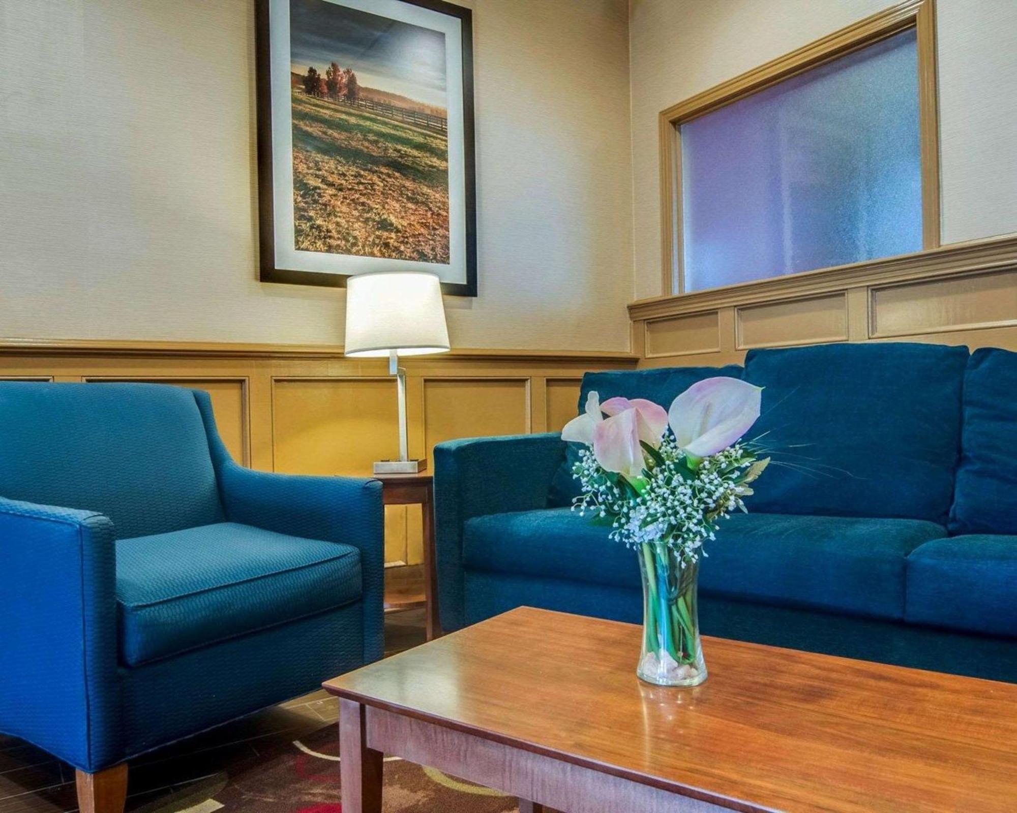 Comfort Inn & Suites Raphine - Lexington Near I-81 And I-64 Ngoại thất bức ảnh